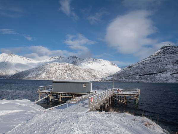 Dampskipskaia hovebilde